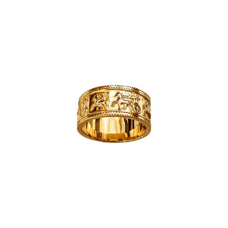 Sarduri's Ring